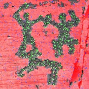 Classification visualisation