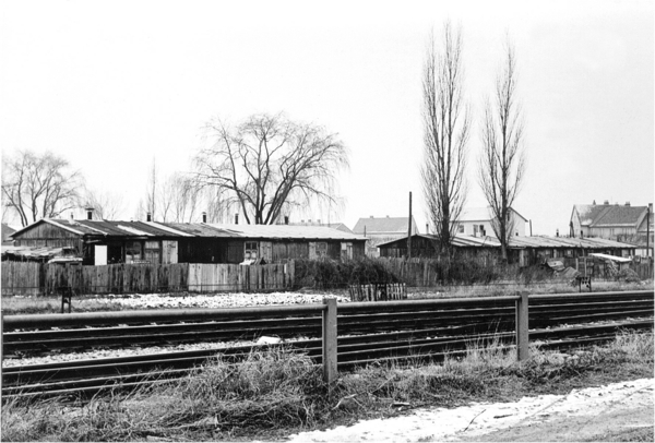 Vertriebene waren nach Kriegsende in den Baracken dieses ehemaligen Reichsarbeitsdienst-Lagers untergebracht © Bildarchiv des Vereines zur Förderung der Erneuerung von Laa.