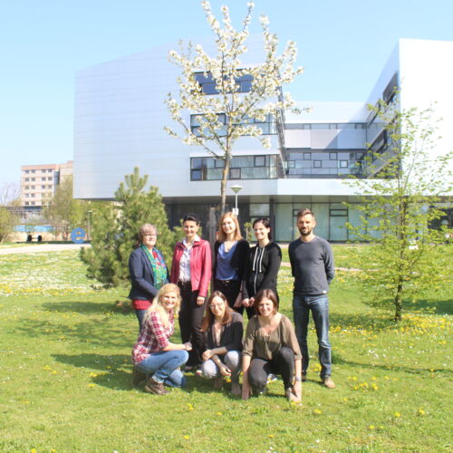GAAS-Meeting: Pr&auml;sentation der Ergebnisse der IST-Analyse in St. P&ouml;lten (13. April 2016) | Foto: FH St. P&ouml;lten / Claudia Winkler